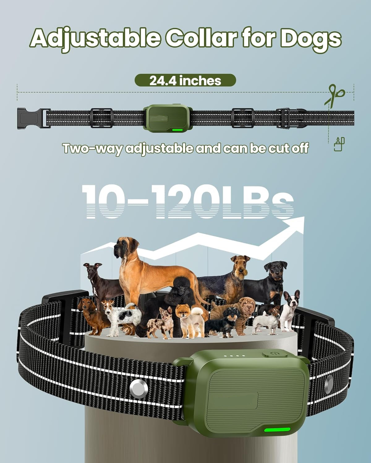 Dog Training Collar